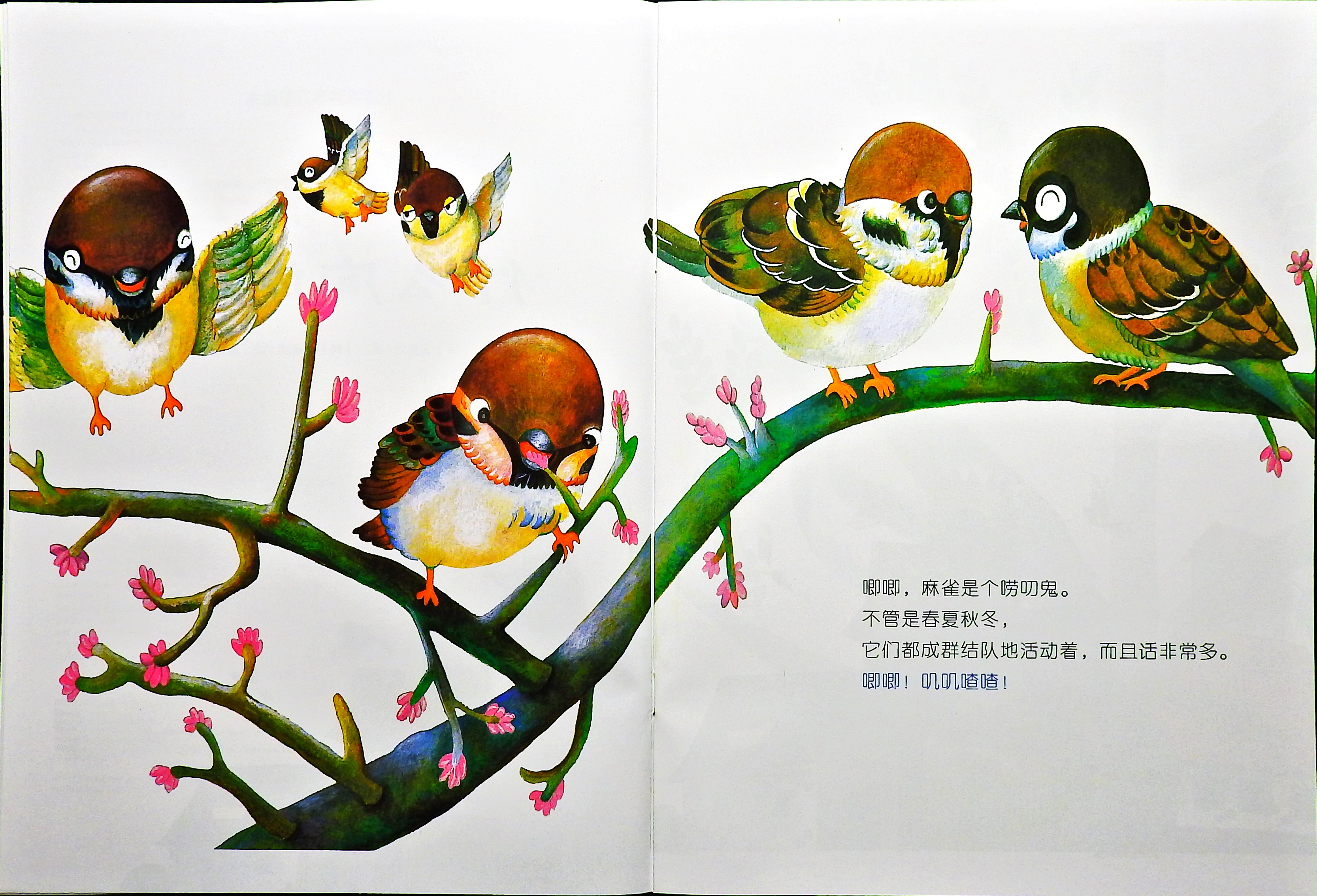 燕子为什么向南飞？ (03),绘本,绘本故事,绘本阅读,故事书,童书,图画书,课外阅读
